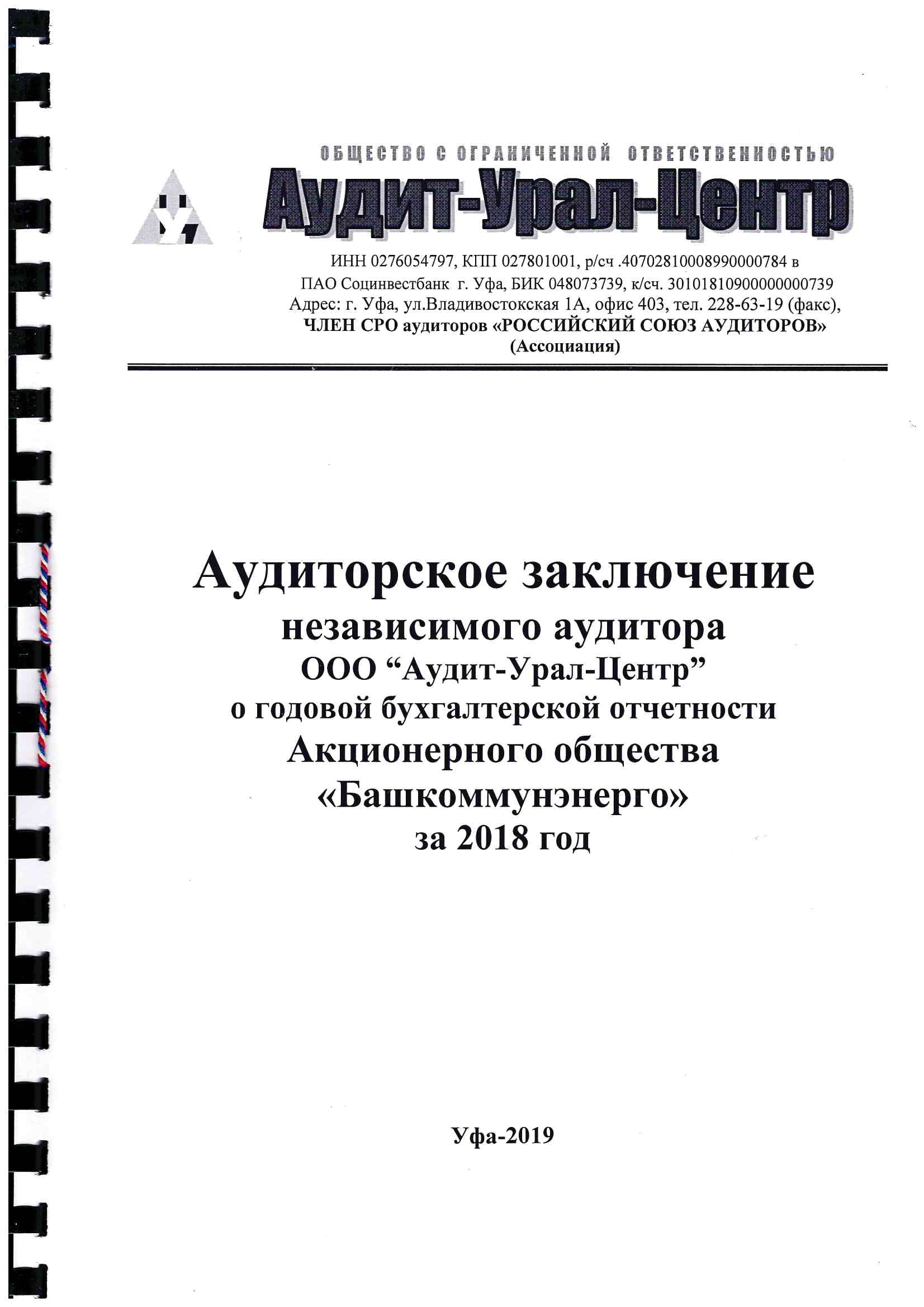 Аудиторское заключение за 2018г-1