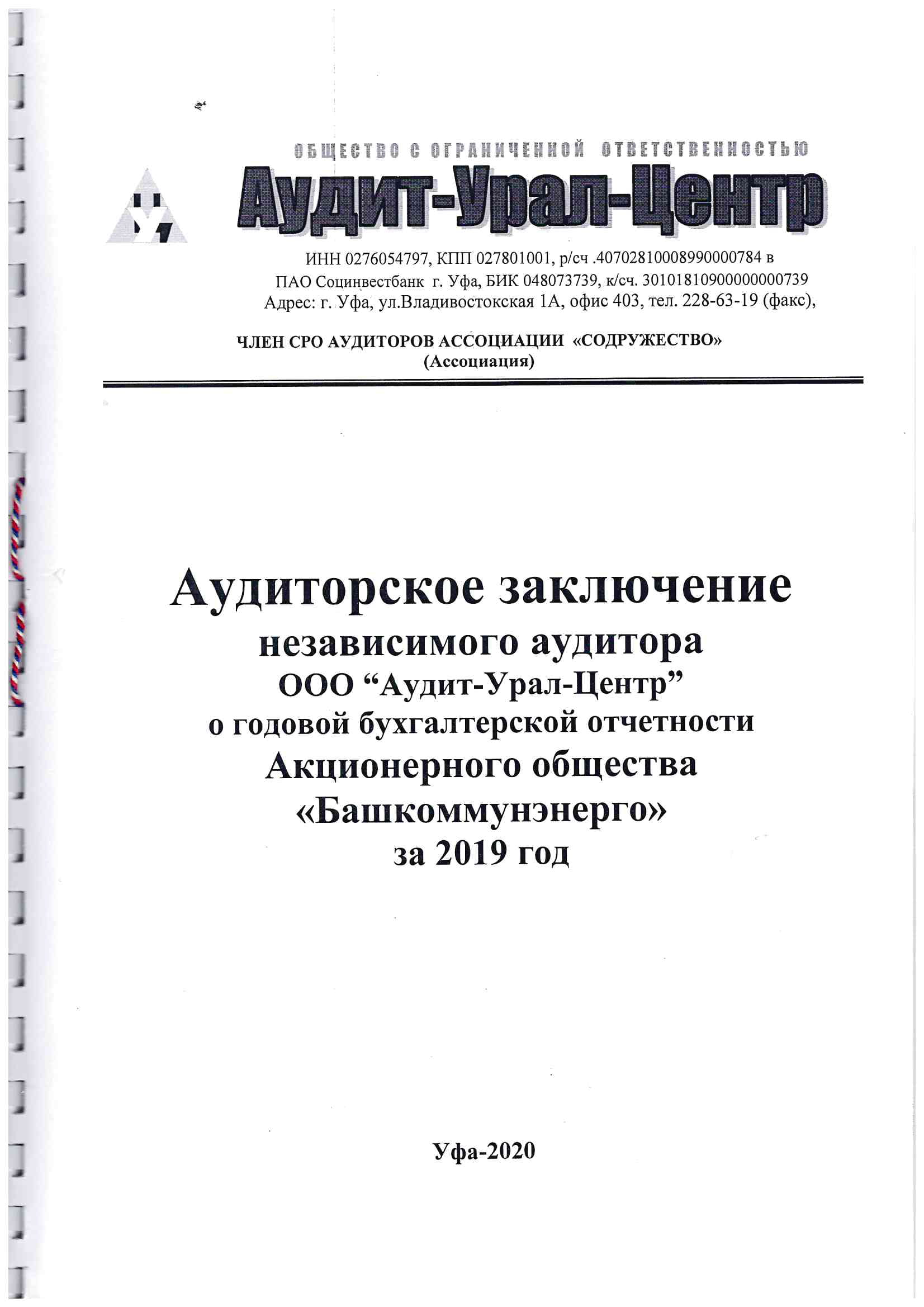 Аудиторское заключение за 2019-1
