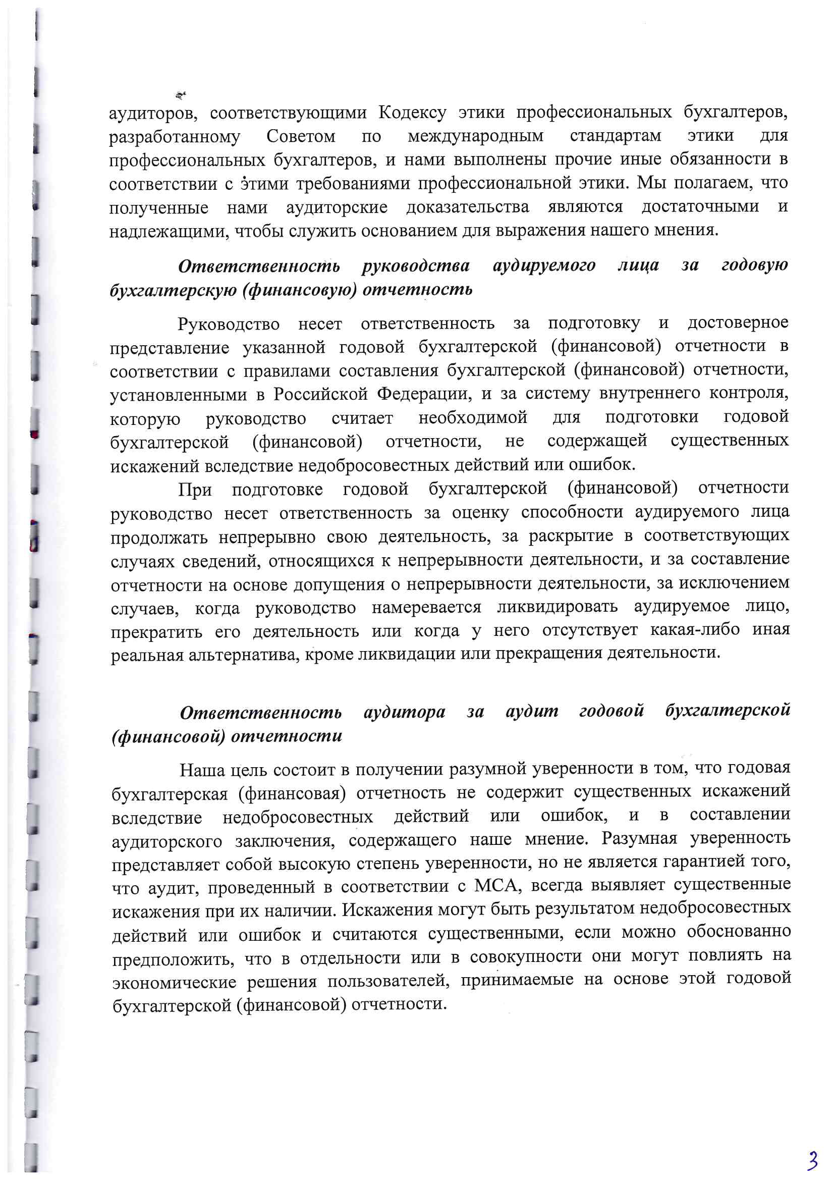Аудиторское заключение за 2019-3